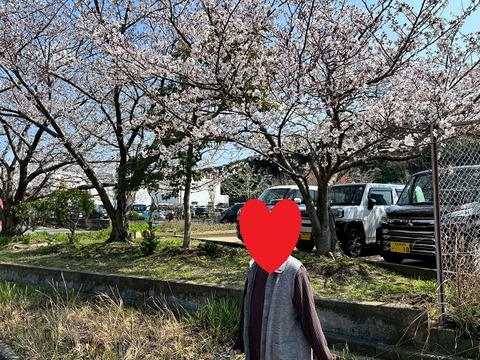LINE_ALBUM_4月お花見_260405_4
