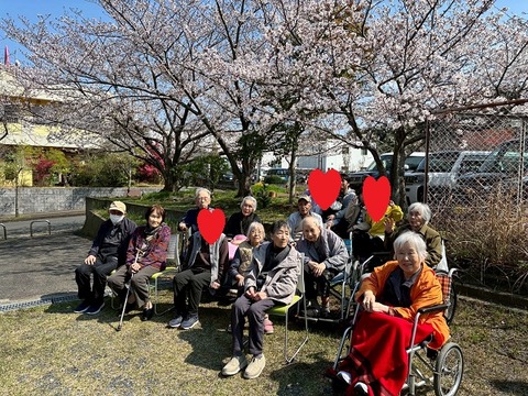 LINE_ALBUM_4月お花見_260405_21