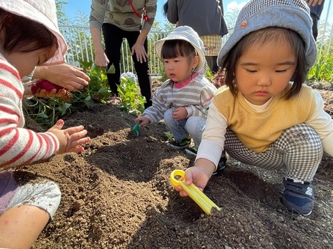 img_LINE_ALBUM_20211026 芋掘り_211028_38