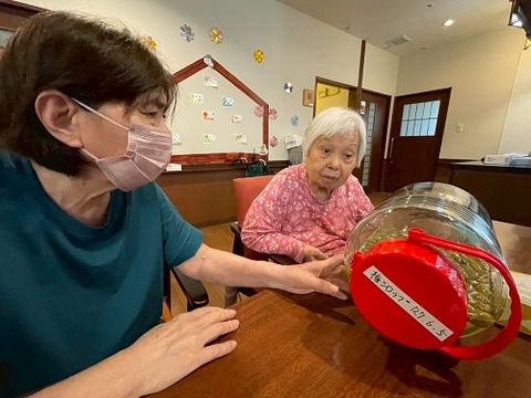 img_LINE_ALBUM_2025621  梅シロップ_250621_9
