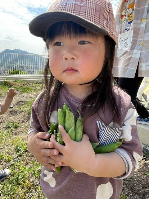 img_2021422    園芸　野菜苗植え_210423_51