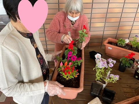 img_LINE_ALBUM_園芸　買い出し、植え_220513_0