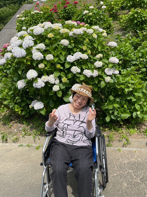 LINE_ALBUM_紫陽花見学その2_240622_9