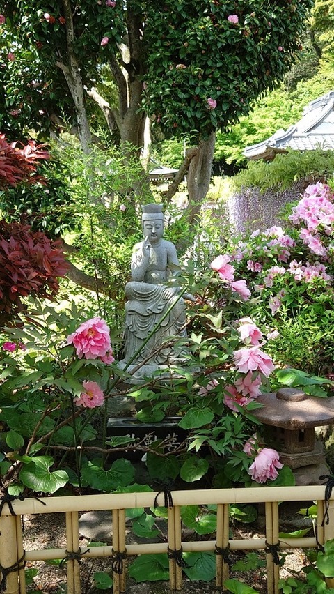 img_LINE_ALBUM_20220422吉祥寺 藤の花見学_220425_0