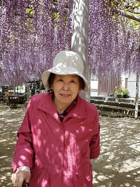 img_LINE_ALBUM_20220422吉祥寺 藤の花見学_220425_39