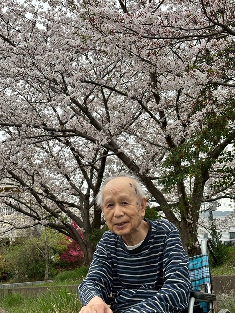 LINE_ALBUM_4月お花見_260407_1