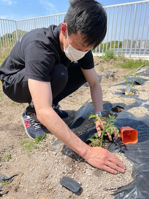 img_2021422    園芸　野菜苗植え_210423_9