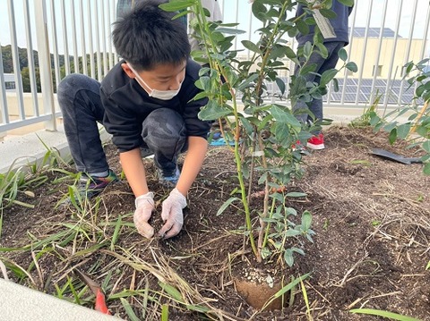 img_LINE_ALBUM_20221110 ブルーベリー植樹🫐_221111_19