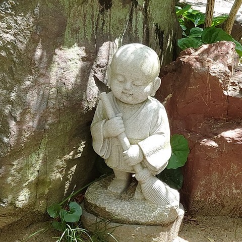 img_LINE_ALBUM_20220422吉祥寺 藤の花見学_220425_6