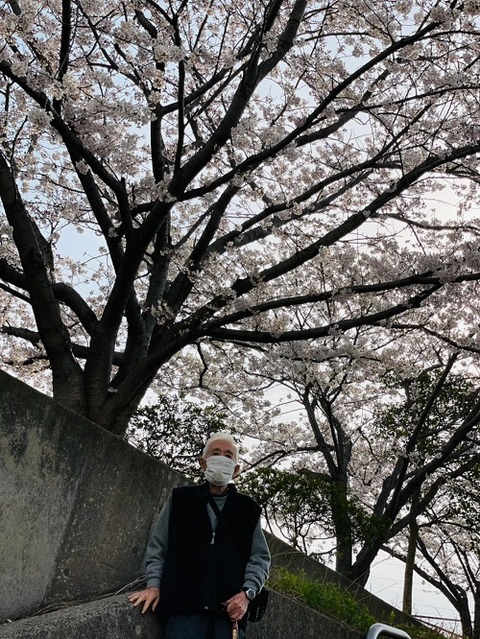 img_花見_210325_15