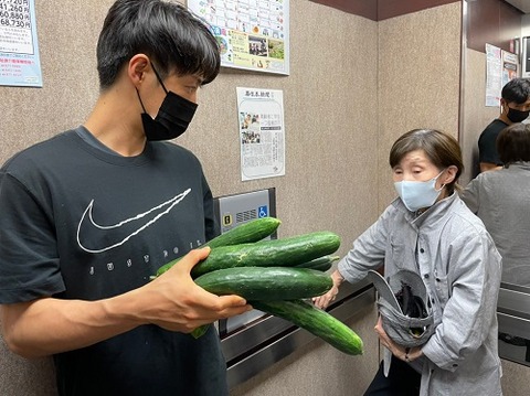 img_2021621   喫茶去庵🍅野菜収穫🥒_210622_7