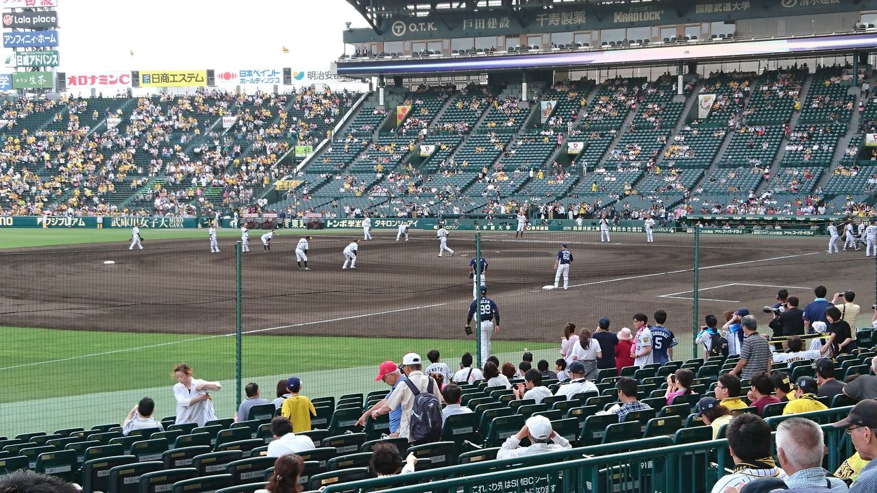 2019年セ・パ交流戦 VS西武1回戦@阪神甲子園球場 : ウナギイヌの雑記帳