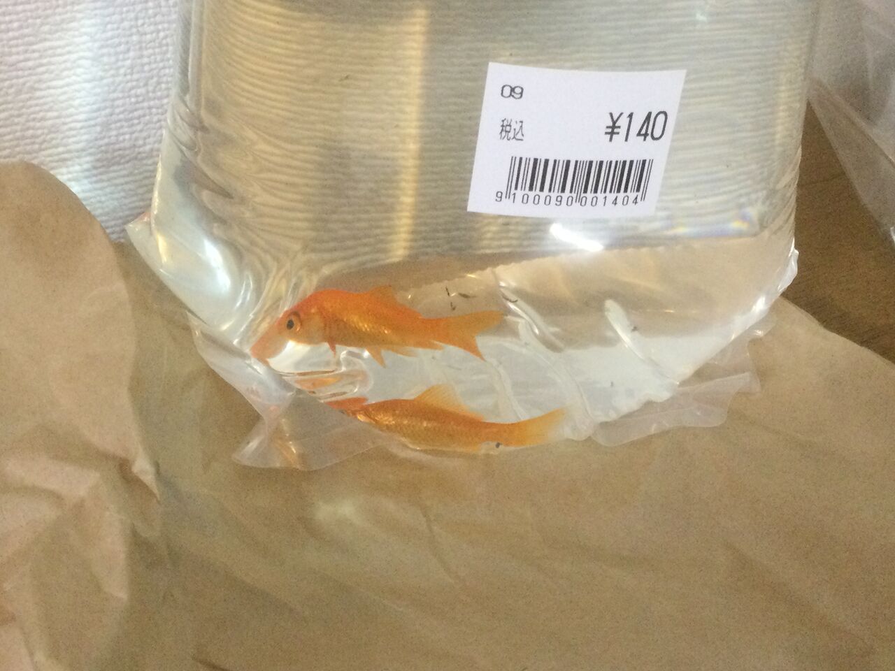 金魚 3代目小赤二匹を購入 節約パパのblog