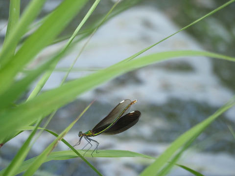 aohada200529107