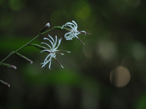 teisyoso20100221