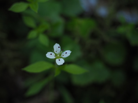 watigaiso180520061