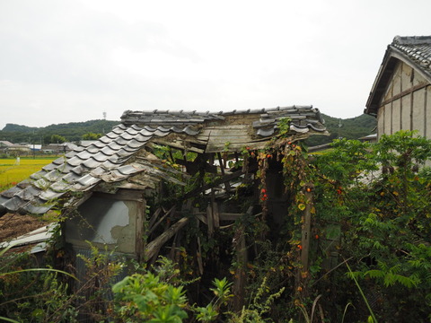 karasuuri20093015