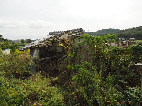 karasuuri20093026