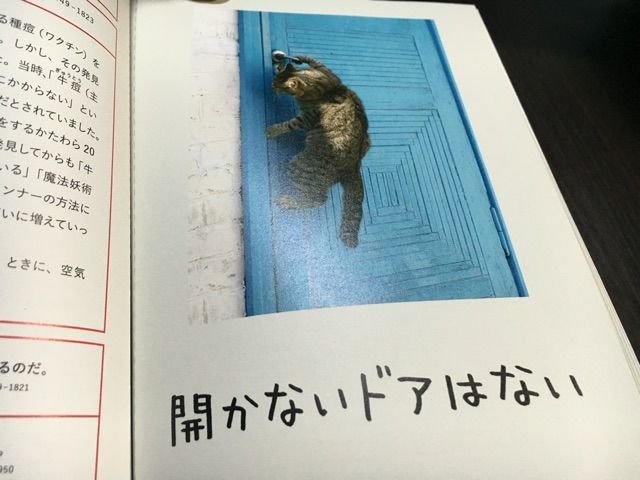 人生はもっとニャンとかなる 踊るカメラマン 人生はもっとニャンとかなる 踊るカメラマン