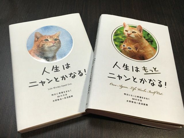 人生はもっとニャンとかなる 踊るカメラマン