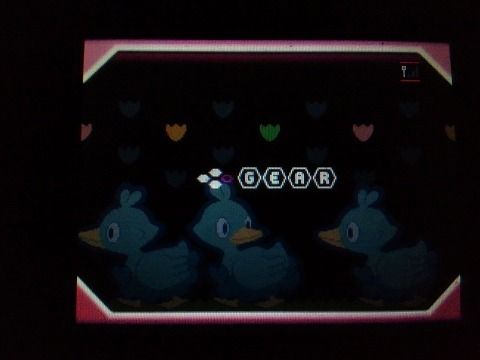 初代ポケモン 赤 出身 Bwのハイリンク乱数調整 具体的なゲーム内の流れ2 初代ポケモン 赤 出身 Bwのハイリンク乱数調整 具体的なゲーム内の流れ2