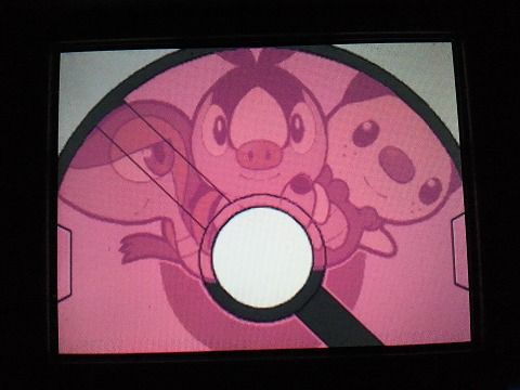 ポケモン,BW2,乱数調整,対戦動画