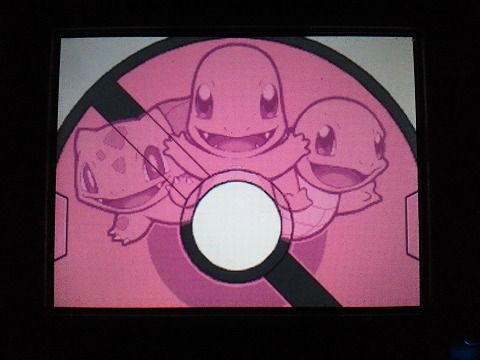 ポケモン,BW2,乱数調整,対戦動画