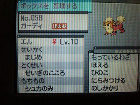 初代ポケモン 赤 出身 当選者の皆さんから貰ったポケモン紹介2 初代ポケモン 赤 出身 当選者の皆さんから貰ったポケモン紹介2