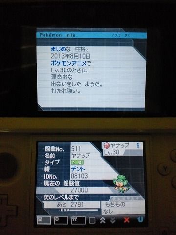 ポケモン,BW2,乱数調整,対戦動画