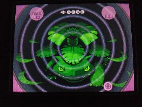 ポケモン,BW2,乱数調整,対戦動画