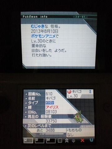 ポケモン,BW2,乱数調整,対戦動画