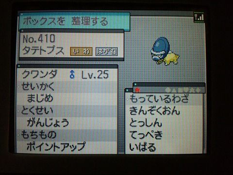 初代ポケモン 赤 出身 Bw2発売直前企画 徘徊乱数調整産ボルトロス他プレゼント 初代ポケモン 赤 出身 Bw2発売直前企画 徘徊乱数調整産ボルトロス他プレゼント