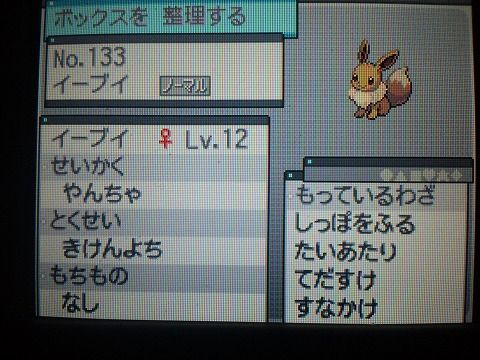 初代ポケモン 赤 出身 当選者の皆さんから貰ったポケモン紹介1