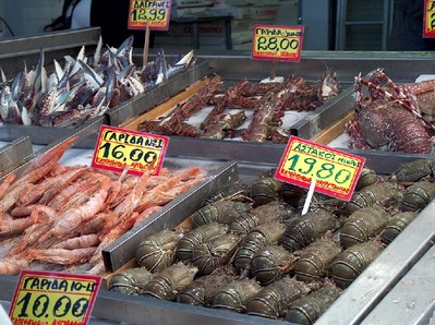 2008.03.04 fish market3