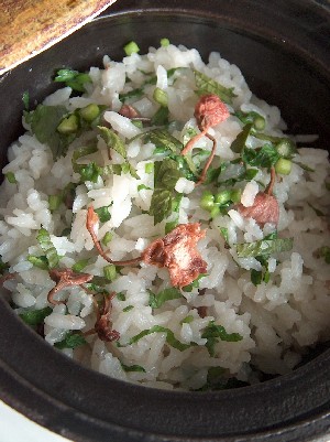 sakura rice