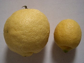 lemons 2