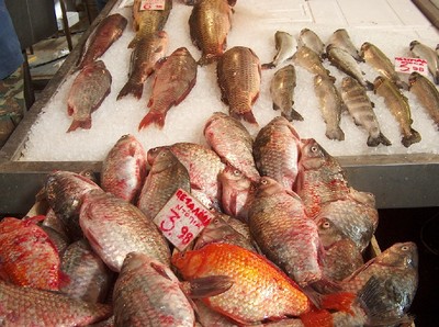 2008.03.04 fish market6