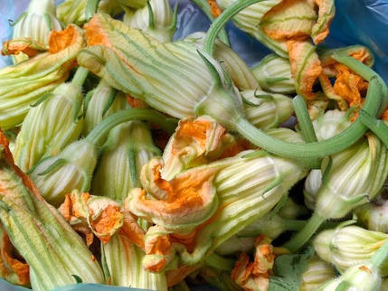 2025.07.12 dolmadakia1