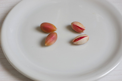 2022.08.27 pistachios4