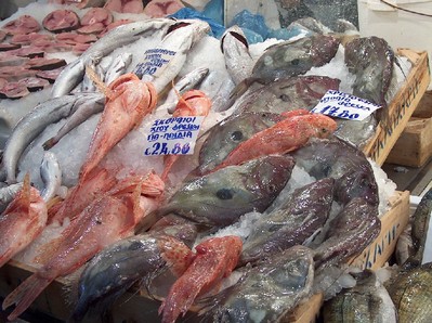 2008.03.04 fish market1