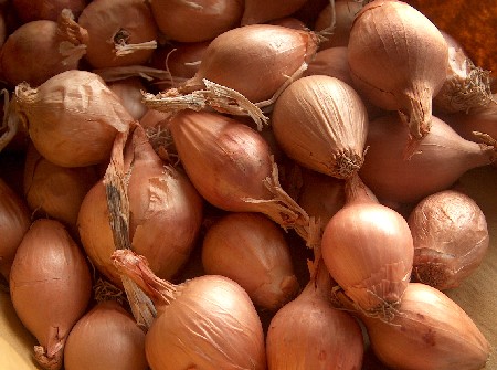 stifado onions