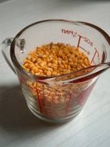 fava 1