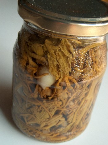 pickled vine shoots