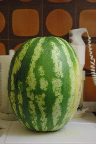 2013.08.08 watermelon