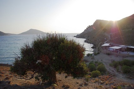 2009.08.30 toli1