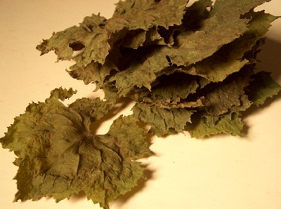dried vine leaves