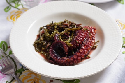 2025.03.27 octopus with avronies1