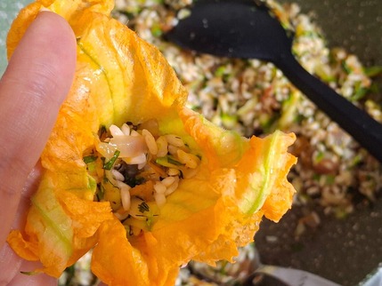 2025.07.12 dolmadakia3