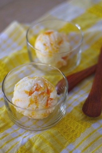 2019.07.21 soumada & apricot ice cream