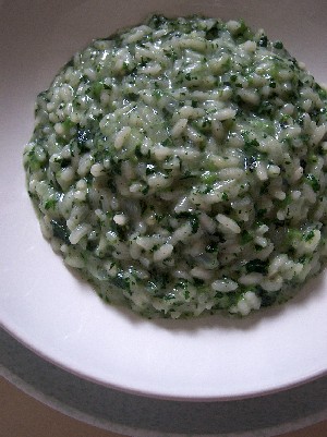 nettle risotto